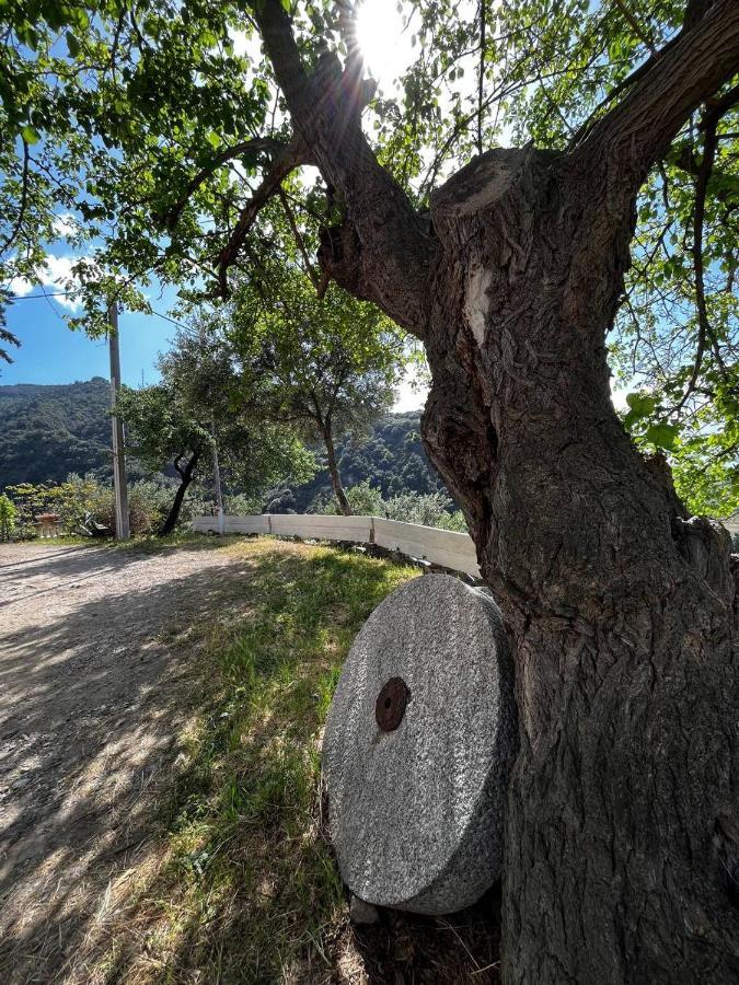 Casa Maria Host Green - Casa Vacanze - Rossano Case San Francesco 외부 사진
